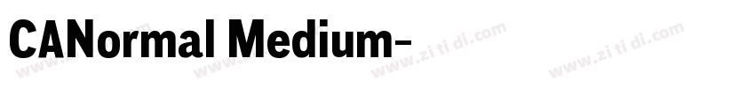 CANormal Medium字体转换